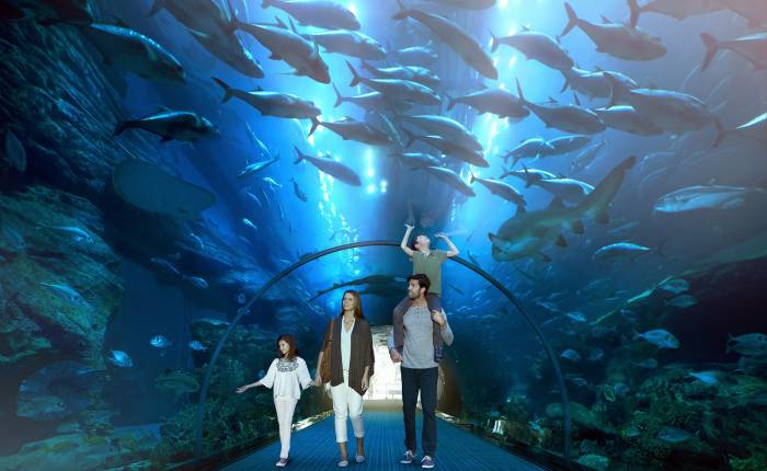 Dubajské akvárium a podvodní zoo