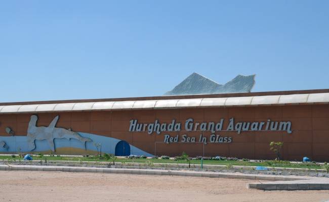 Akvárium v Hurghadě