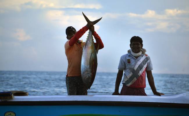 Marawile je rybářskou osadou