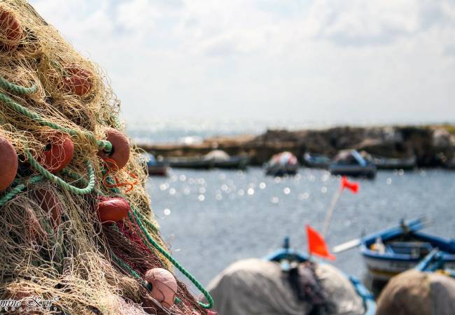 Mahdia má bohatou rybářskou historii