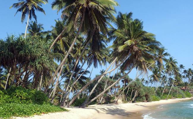 Srí lanka má nádherné pláže