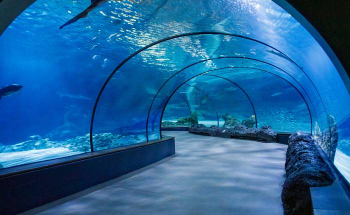 Moderní akvárium v hlavním městě Antalya