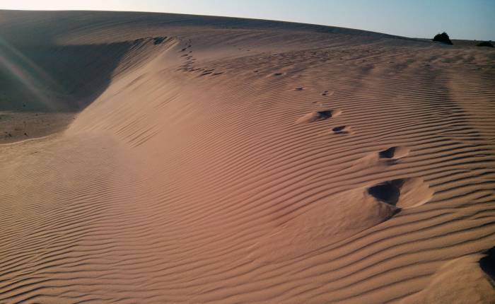 Písečné duny Corralejo