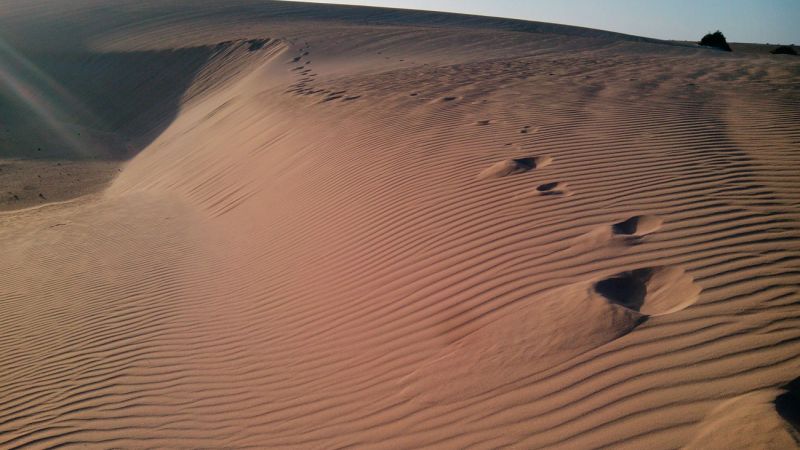 Písečné duny Corralejo