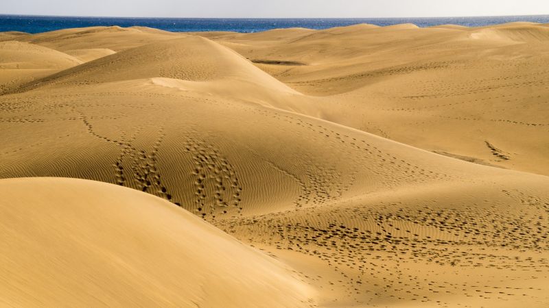 Dunas de Maspalomas - malá Sahara