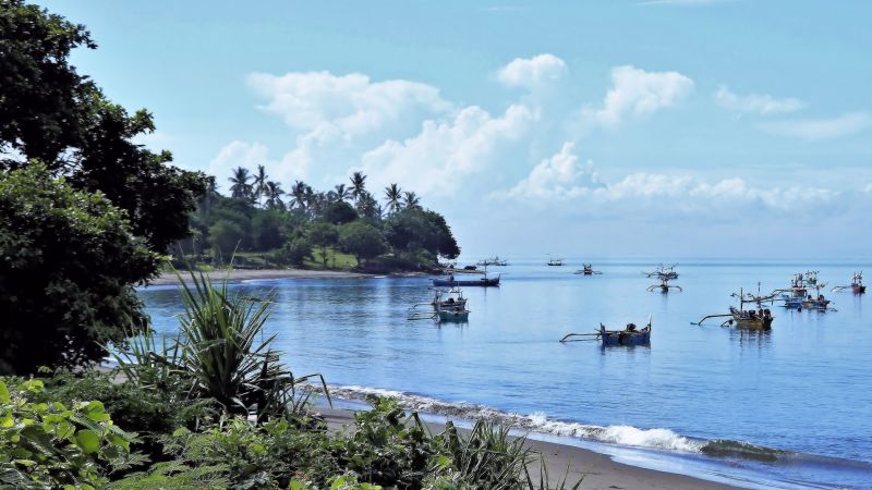 Příroda na Bali